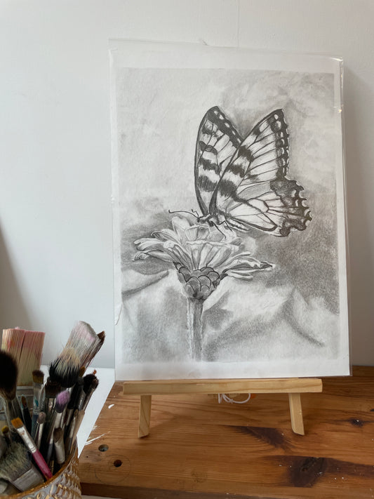 Butterfly & Flower | Original Drawing